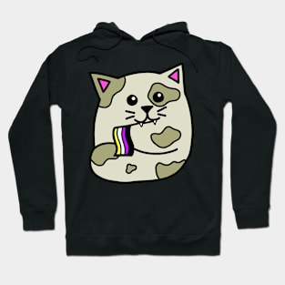 non-binary pride flag cat Hoodie